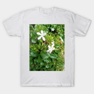 White flowers green leaves, aesthetic minimalist plant photography T-Shirt